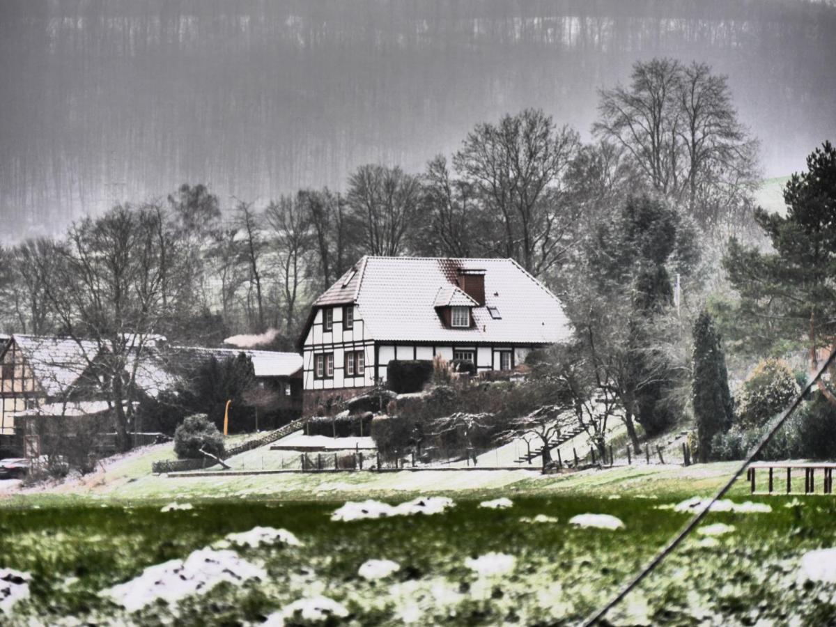 Ferienwohnung Weserblick Polle Bagian luar foto