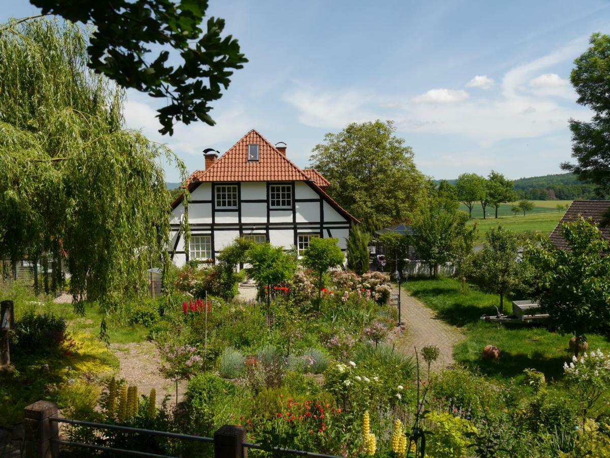 Ferienwohnung Weserblick Polle Bagian luar foto