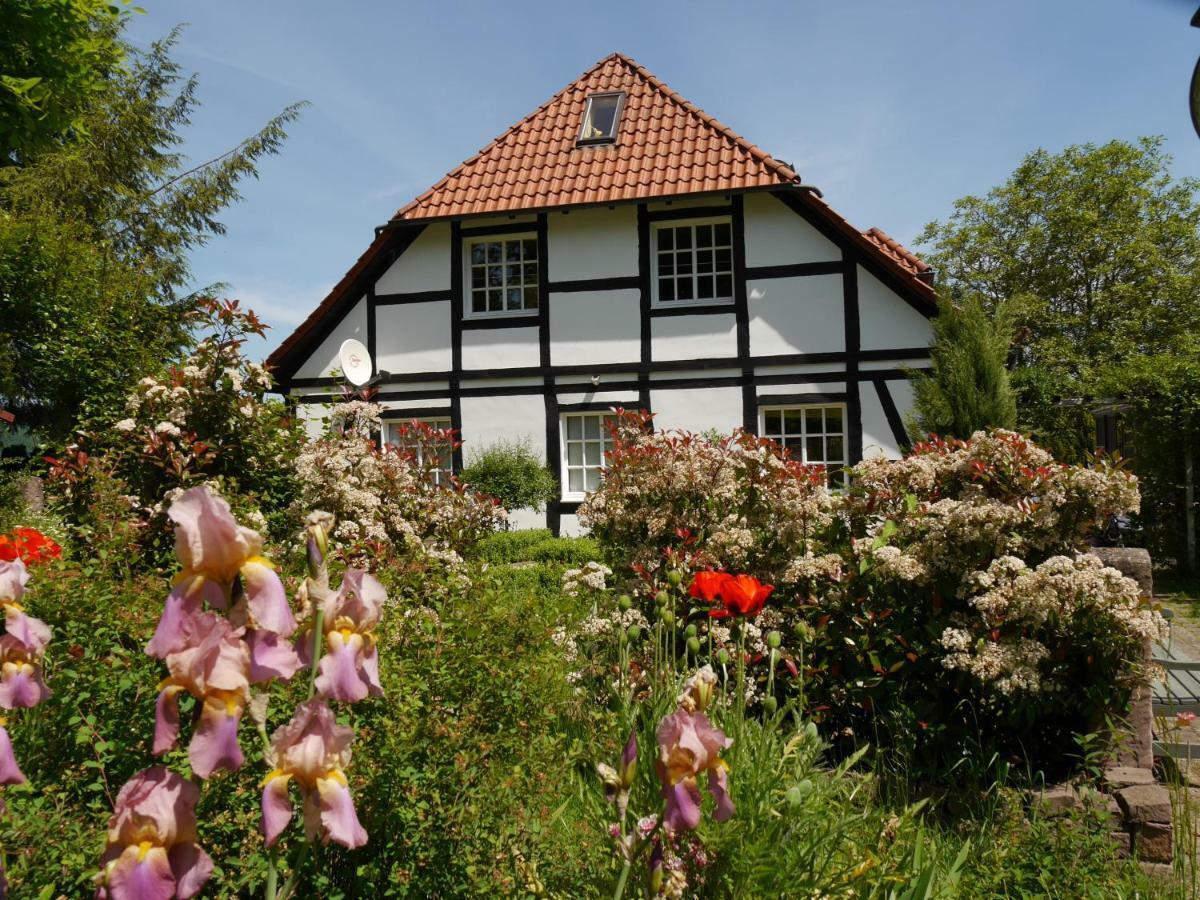 Ferienwohnung Weserblick Polle Bagian luar foto